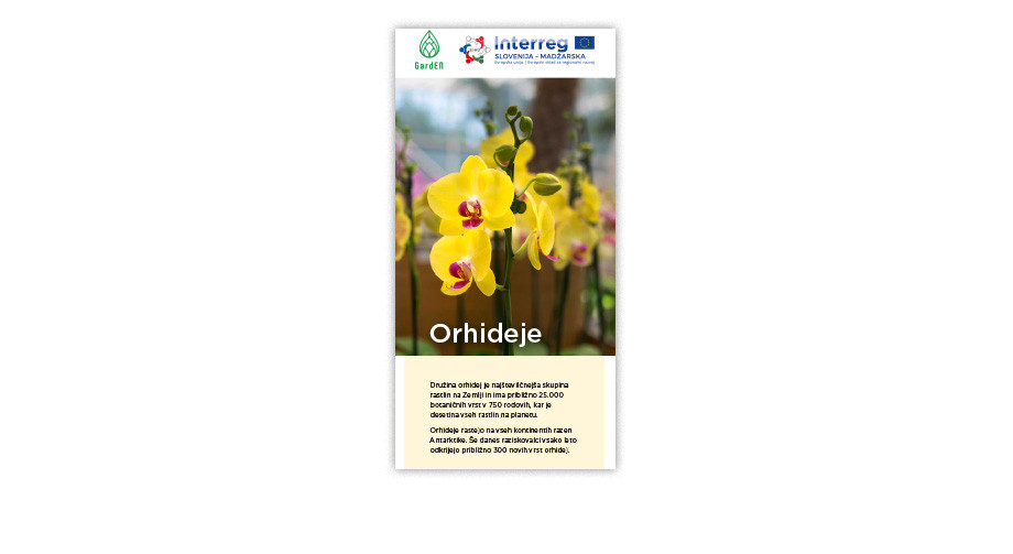 Kuharski recepti z vanilijo - orhideje