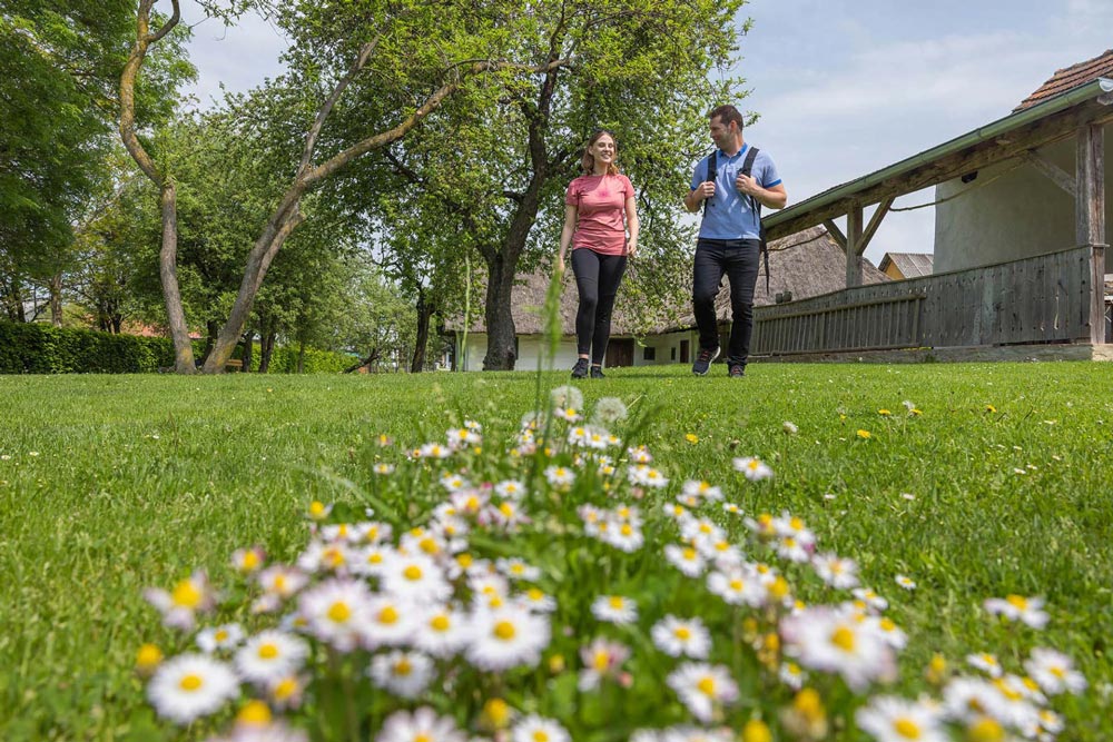 Pot kulturne dediščine
