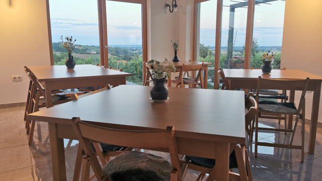 PANON-galerija-vin-notranjost