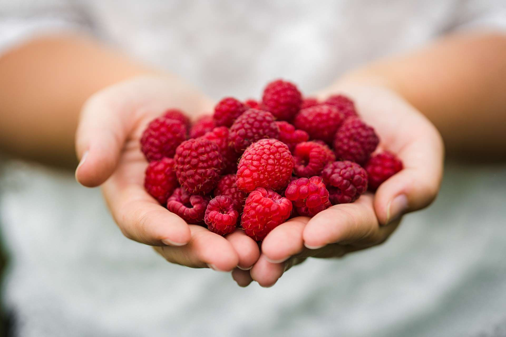 Ekološka kmetija Sep-Vratar 