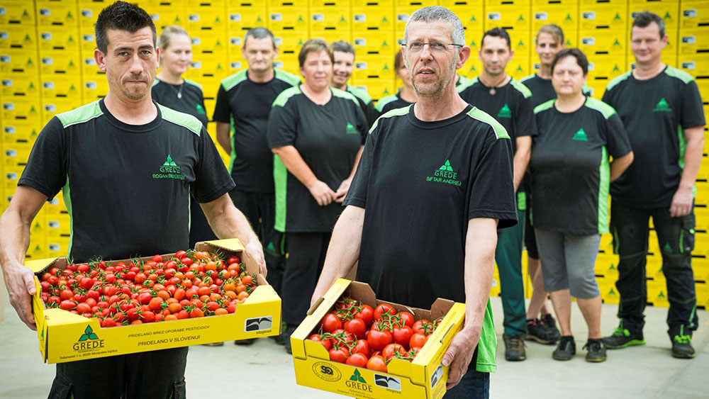 Grede Tešanovci d.o.o.