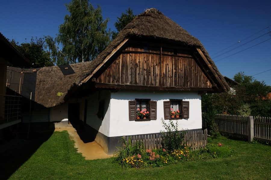 Magdina hiša, Filovci